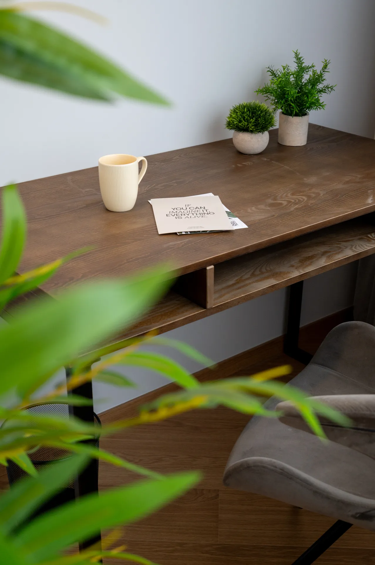 Photo d'une chambre standard — le bureau en bois, mug et plante